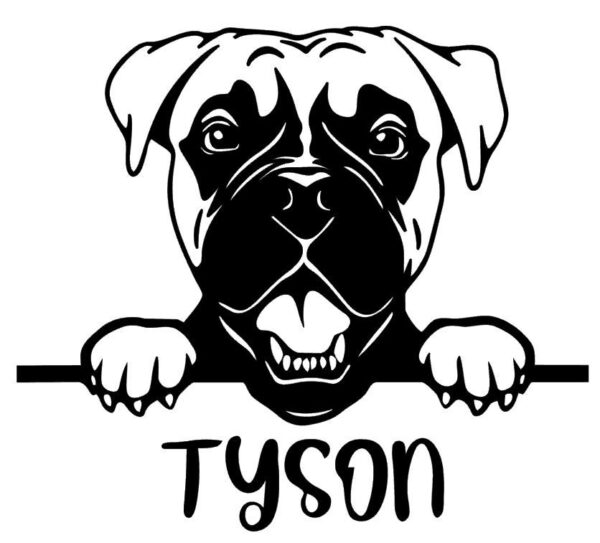 Hund Boxer